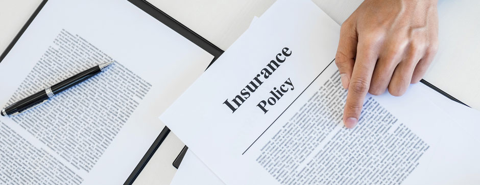 Common Term Life Insurance Plan | PNB Metlife