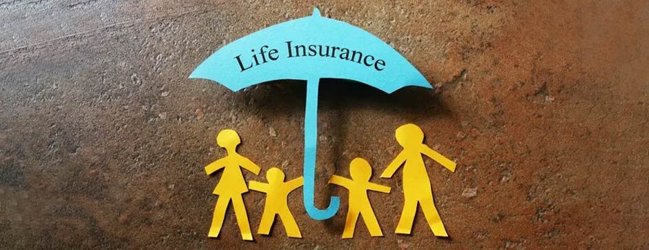 Learn Everything About Different Types of Life Insurance | PNB MetLife