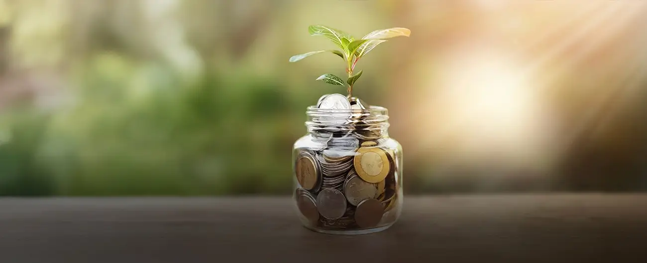 pension annuity definition